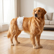 Disposable Dog Nappies for Large Male Dogs Prevent Leaks and Keep Floors Clean White Pack of 48 Pawhut