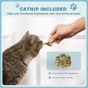 Light Blue 2-in-1 Cat Scratcher with Catnip for Indoor Cats by PawHut