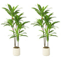 Artificial Dracaena Trees Set of 2 for Easy Year Round Indoor Greenery Green