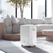 30L Dehumidifier With 24H Timer and Digital Display For Damp Home and Laundry, White