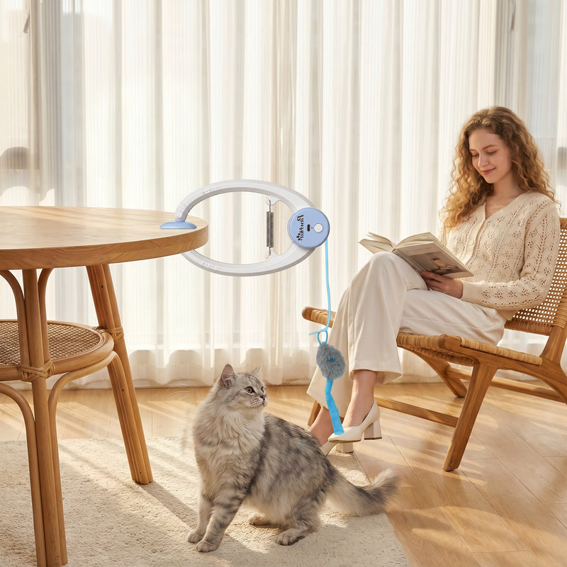 Automatic Doorway Cat Toy With Timer For Indoor Play And Scratch Prevention White Blue Pawhut