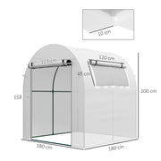 Walk In Polytunnel Greenhouse With Roll Up Door And Windows For Garden Growing White