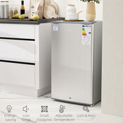 91L Freestanding Under Counter Fridge with Lock Grey by HOMCOM