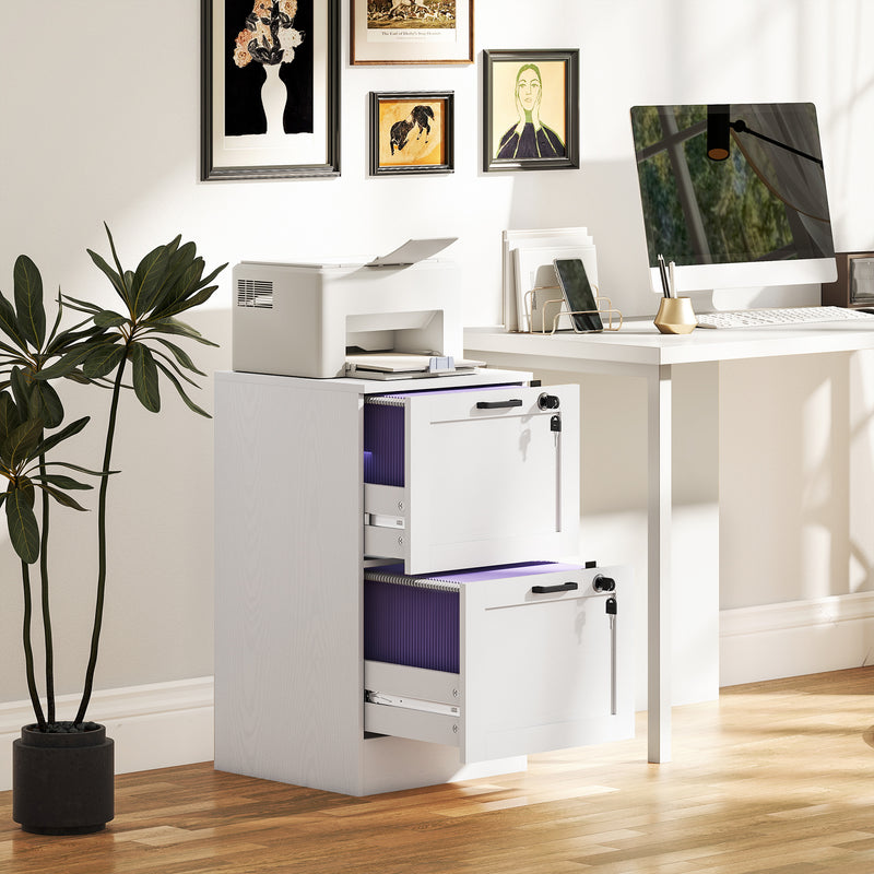 White 2 Drawer Lockable Filing Cabinet for Home Office Storage and Organisation Homcom