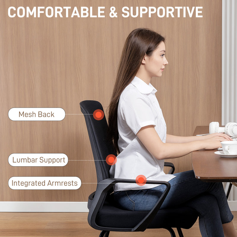 Ergonomic Office Chair with Lumbar Support and Breathable Mesh Back Black AOSOM