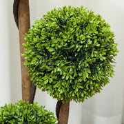 Artificial Boxwood Topiary Tree Set of 2 in Pots for Indoor and Outdoor Decor Green