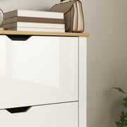 Slim White High Gloss Shoe Cabinet with 2 Flip Drawers and Adjustable Shelves for 12 Pairs by HOMCOM