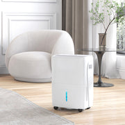 30L Dehumidifier With 24H Timer and Digital Display For Damp Home and Laundry, White