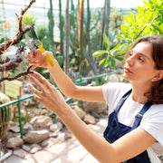 8 Inch Garden Pruning Shears with SK5 Blade for Precise Cutting and Safety Lock