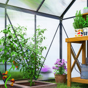 Walk In Polycarbonate Greenhouse 190 x 190 cm Grey for All-Season Gardening by Outsunny