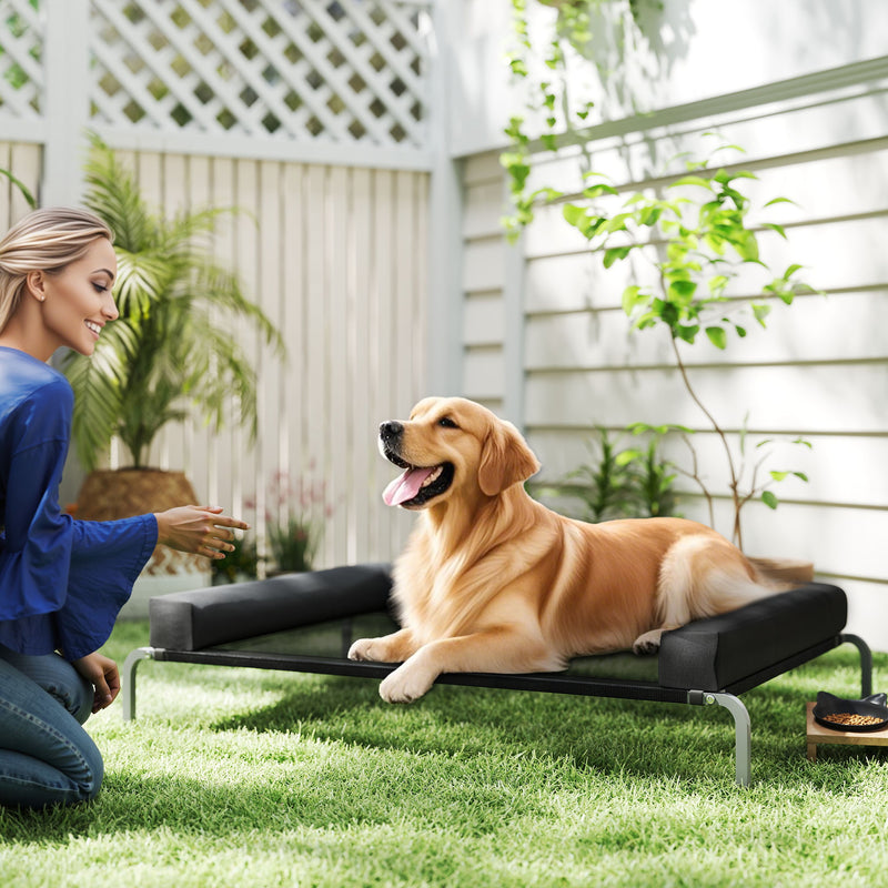 Raised Dog Bed with Mesh Surface and U-Shaped Pillow for Large Pets Indoor Outdoor Black