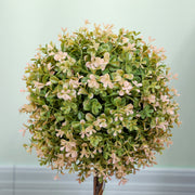 Set of 2 Artificial Murraya Plants 60cm Cream White for Indoor Outdoor Decor by HOMCOM