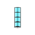 5 Tier Corner Bookcase with Adjustable LED Lighting in Ebony Black for Home by Vasagle VASAGLE