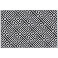 Large Reversible Outdoor Rug for Camping Garden or Picnic Lightweight Plastic Mat Black White  182L x 274W