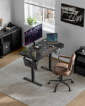 Height Adjustable Office Desk 120 x 60 cm Ergonomic Sit Stand Workstation by Vasagle