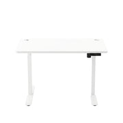 60x100cm Small Electric Standing Desk Height Adjustable For Home Office VASAGLE
