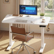 60x100cm Small Electric Standing Desk Height Adjustable For Home Office VASAGLE
