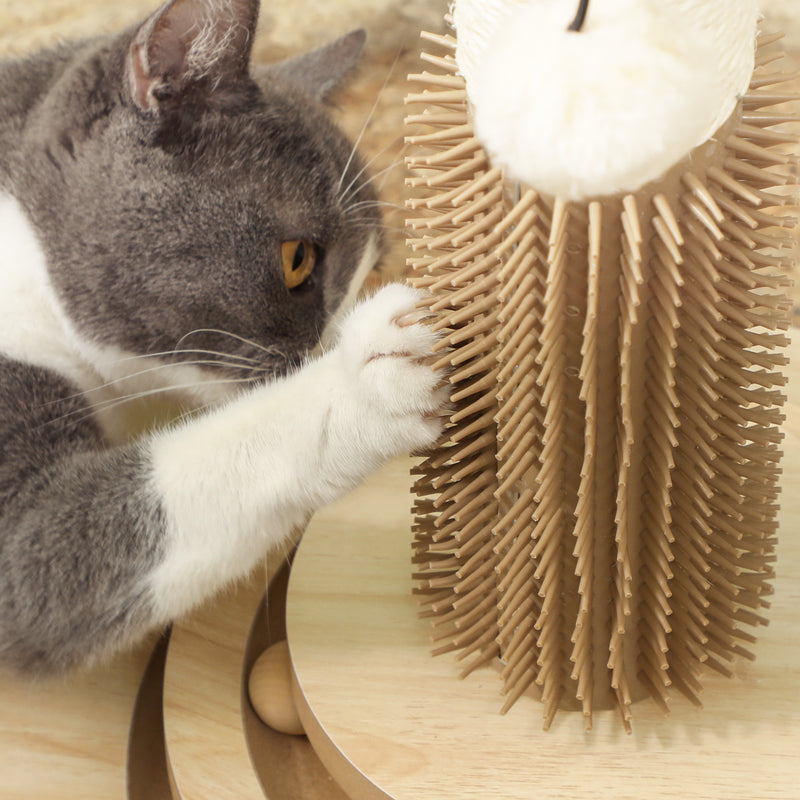 49cm 5 in 1 Cat Scratching Post with Sisal Track Ball Brush and Toys Oak Tone by PawHut