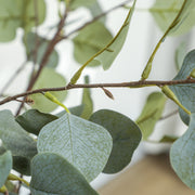 5ft Artificial Silk Eucalyptus Tree with 230 Silver Dollar Leaves in Pot for Home and Office by HOMCOM