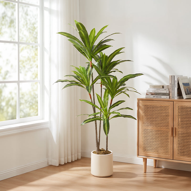 Artificial Dracaena Tree for Easy Indoor Greenery with White Planter 150cm Green