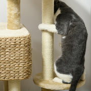 Cat Tree with Multi Level Scratching Posts and Hammock for Indoor Cats Brown and Beige AOSOM