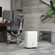 30L Dehumidifier With 24H Timer and Digital Display For Damp Home and Laundry, White