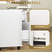 Lockable Mobile Filing Cabinet with Two Drawers for Home Office White Wood Grain by HOMCOM