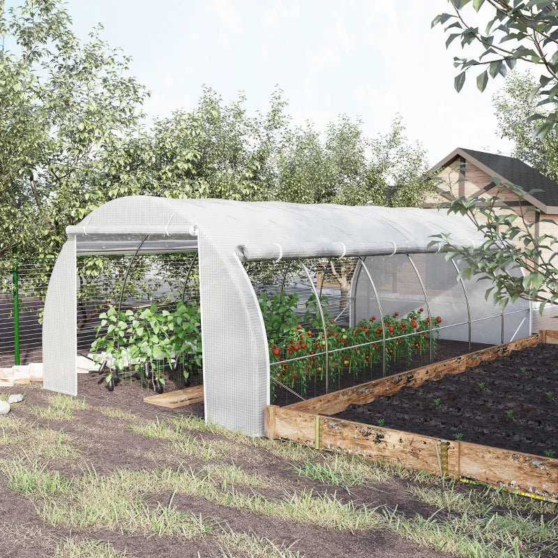 Image of a 6m by 3m white poly tunnel garden greenhouse