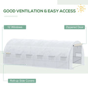 Image of a 6m by 3m white poly tunnel garden greenhouse