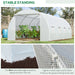 6m x 3m Walk In Polytunnel Greenhouse, Steel Frame, White