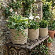 Seagrass Planter Set of 3 for Indoor or Outdoor Plants with Moisture Liners Natural AOSOM