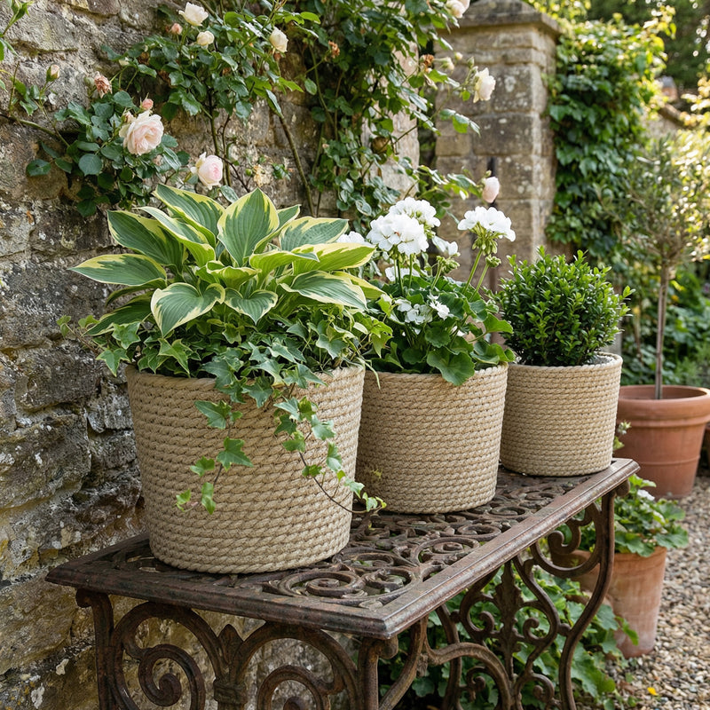 Seagrass Planter Set of 3 for Indoor or Outdoor Plants with Moisture Liners Natural AOSOM