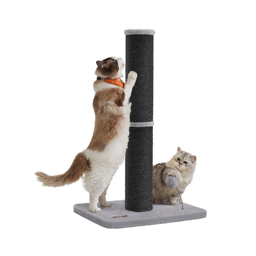 Tall Cat Scratching Post 85 cm for Medium and Large Cats in Ink Black by Feandrea