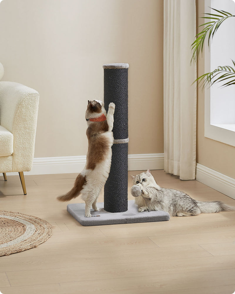 Tall Cat Scratching Post 85 cm for Medium and Large Cats in Ink Black by Feandrea