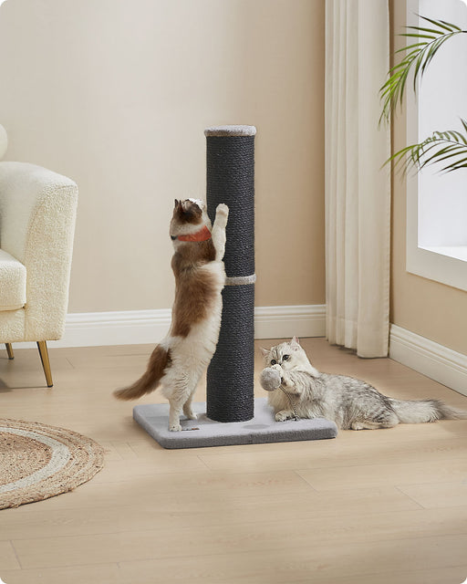 Tall Cat Scratching Post 85 cm for Medium and Large Cats in Ink Black by Feandrea