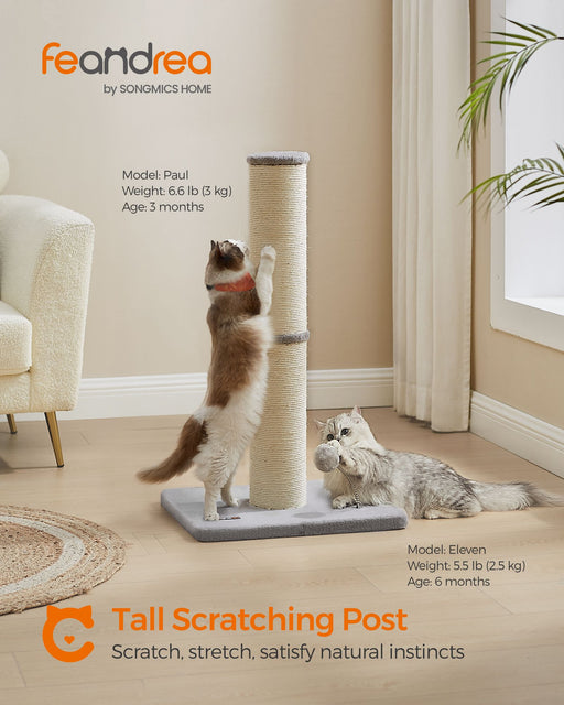 Tall Cat Scratching Post 85 cm with Spring Pompom in Dove Grey for Indoor Cats by Feandrea