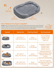 Orthopaedic Dog Sofa Bed Large Light Grey Supportive and Comfy Lounger by Feandrea