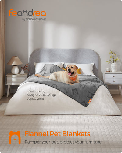 Pack of 3 Slate Grey Flannel Pet Blankets Soft and Warm 203 x 152 cm by Feandrea