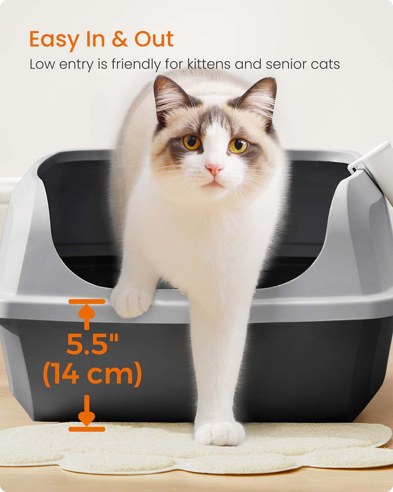 Cat inside the litter box showing the high sides