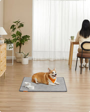 Large Reusable Dog Training Pads 2 Pack 122 x 91 cm Washable and Absorbent Grey by Feandrea