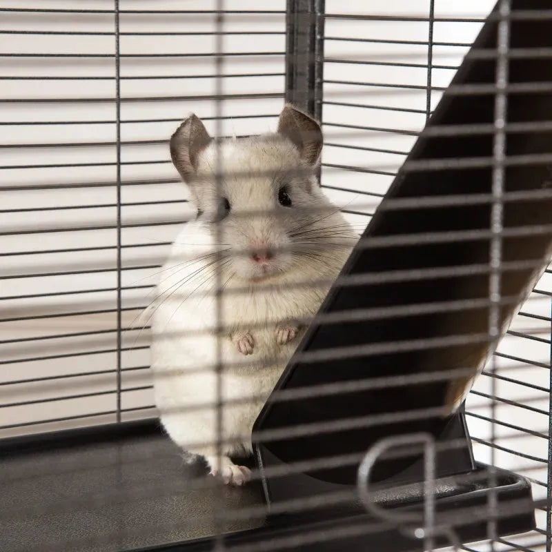 Indoor Cage For Chinchilla With Wheels