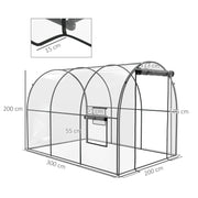 Image of a Polytunnel Greenhouse with Clear Cover