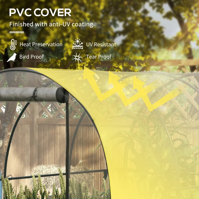 Image of a Polytunnel Greenhouse with Clear Cover