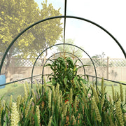 Image of a Polytunnel Greenhouse with Clear Cover