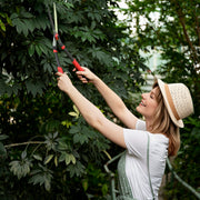 Heavy Duty Garden Hedge Shears 63cm with Sharp Blades and Comfort Grip for Easy Trimming