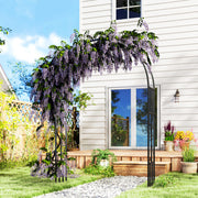Black Steel Garden Arch 2.2m for Climbing Plants Roses Wisteria Vines Outdoor Wedding Decor by Outsunny