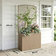 Raised Rattan Planter with Trellis for Upright Gardening and Climbing Plants Light Grey Outsunny