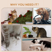 Wall Mounted Cat Shelves Set with Hammock Scratching Post and Nest for Climbing Fun Dark Grey