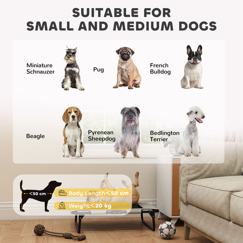 Light Grey Raised Dog Bed with Breathable Mesh for Small to Medium Dogs Indoors Outdoors AOSOM