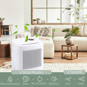 Portable 10L Smart Dehumidifier with WiFi App Control for Home and Laundry Use, White